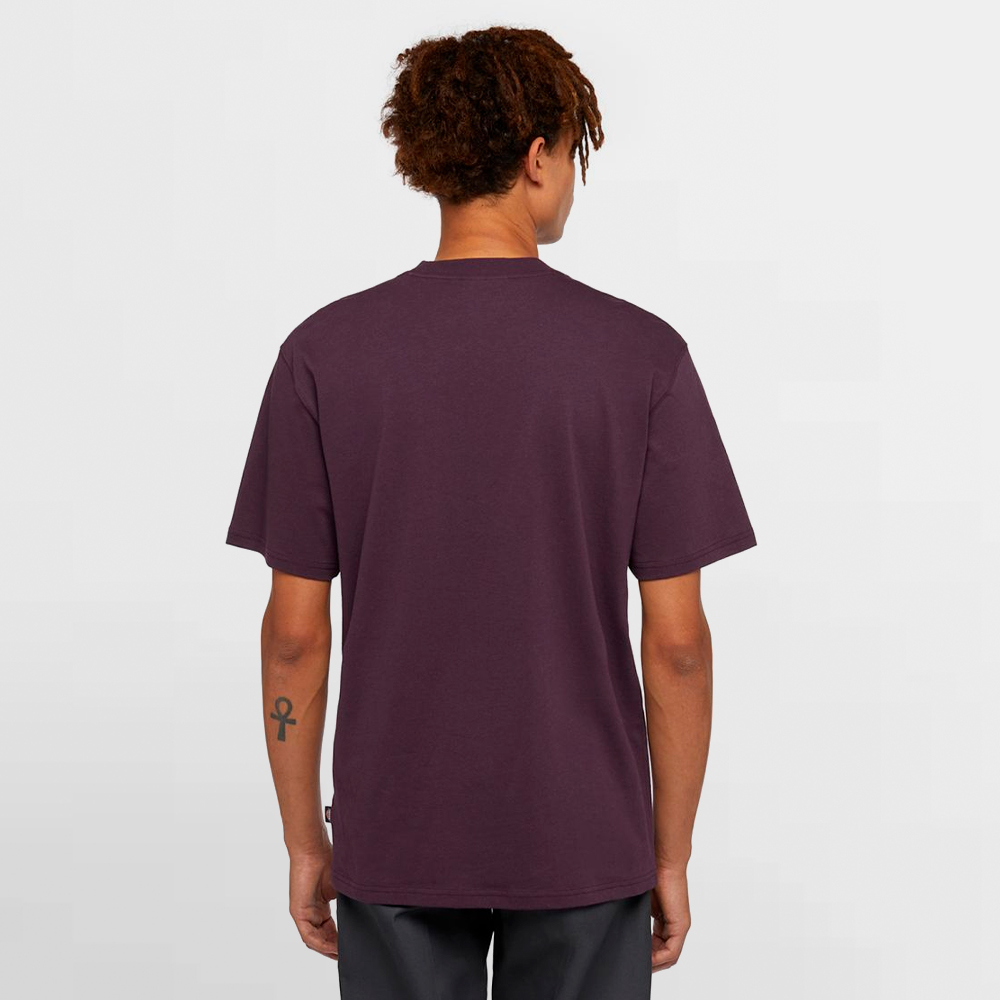 DICKIES CAMISETA SUMMERDALE SS TEE - DK0A4YAIJ56