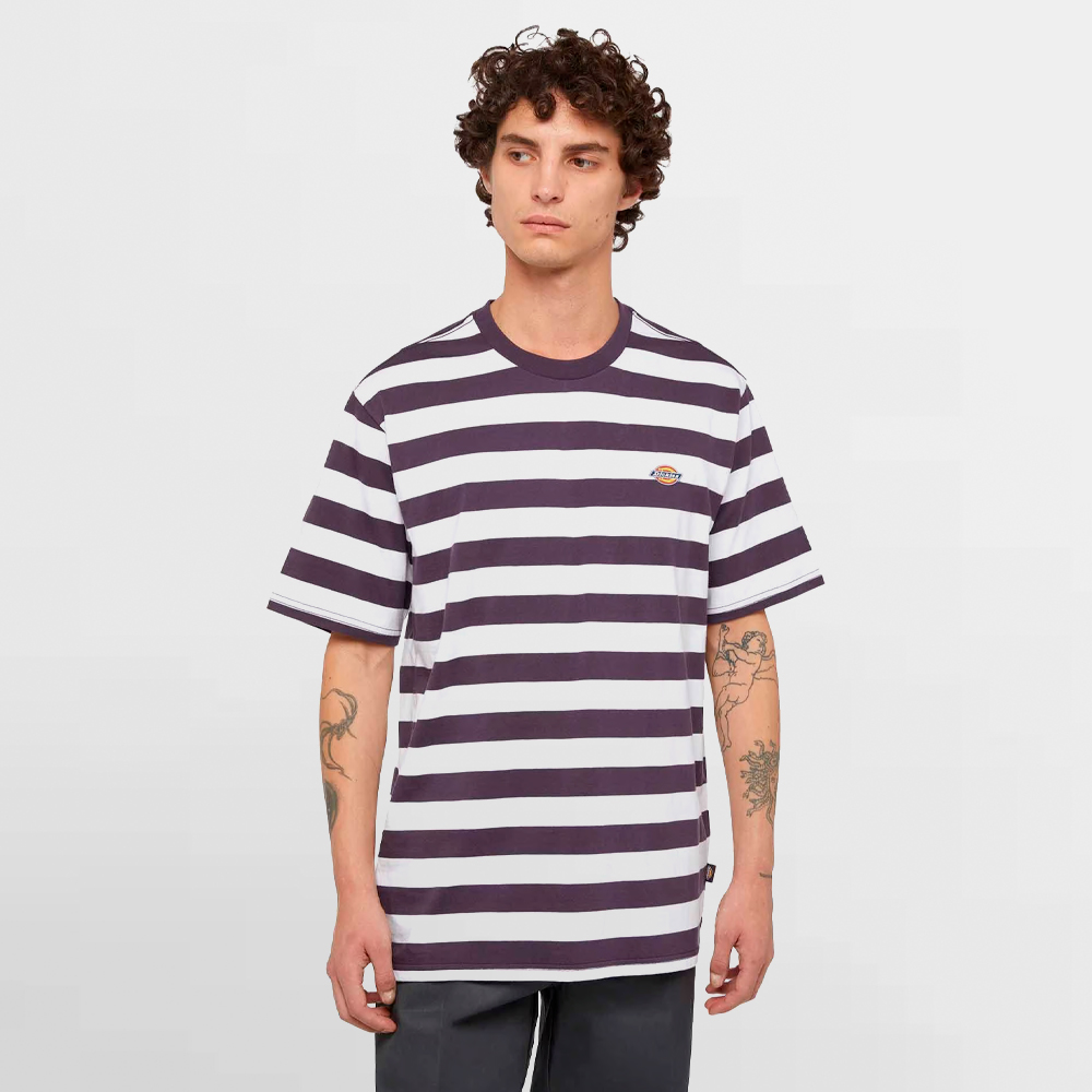 DICKIES CAMISETA RIVERGROVE SS TEE - DK0A4Y8YJ56