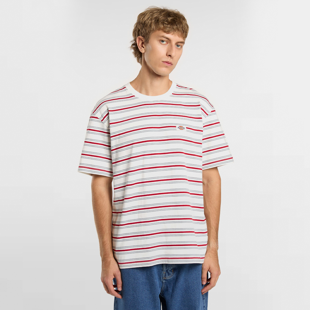 DICKIES CAMISETA LEWISTOWN STRIPE SS TEE - DK0A4Z8SC48