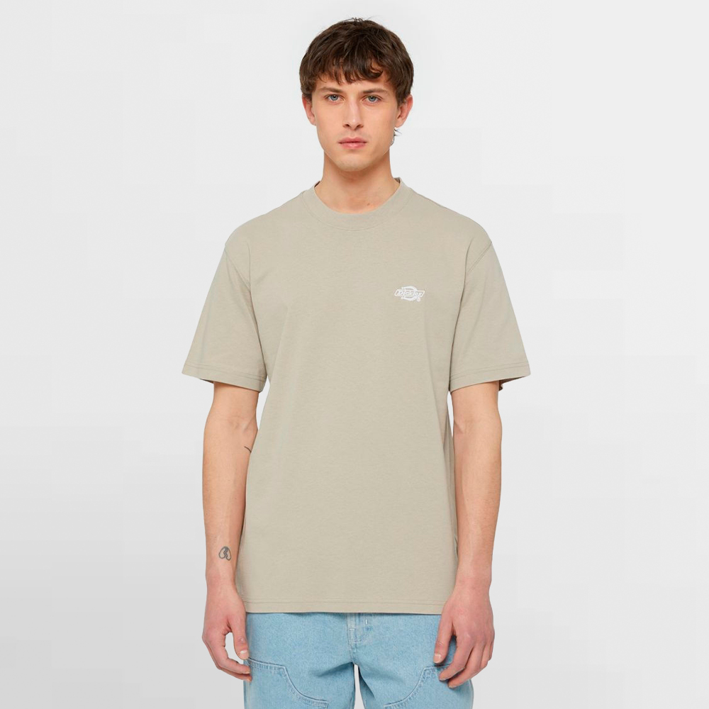 DICKIES CAMISETA SUMMERDALE SS TEE - DK0A4YAISS0