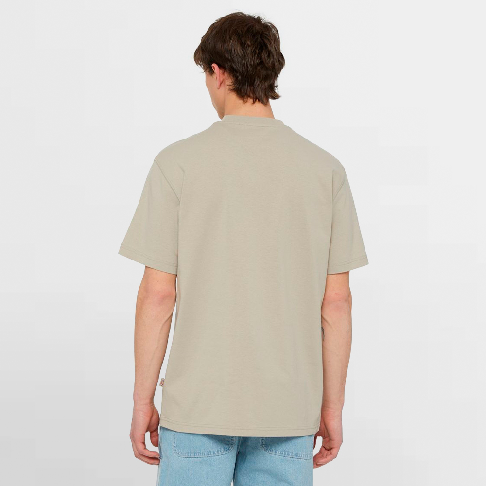 DICKIES CAMISETA SUMMERDALE SS TEE - DK0A4YAISS0