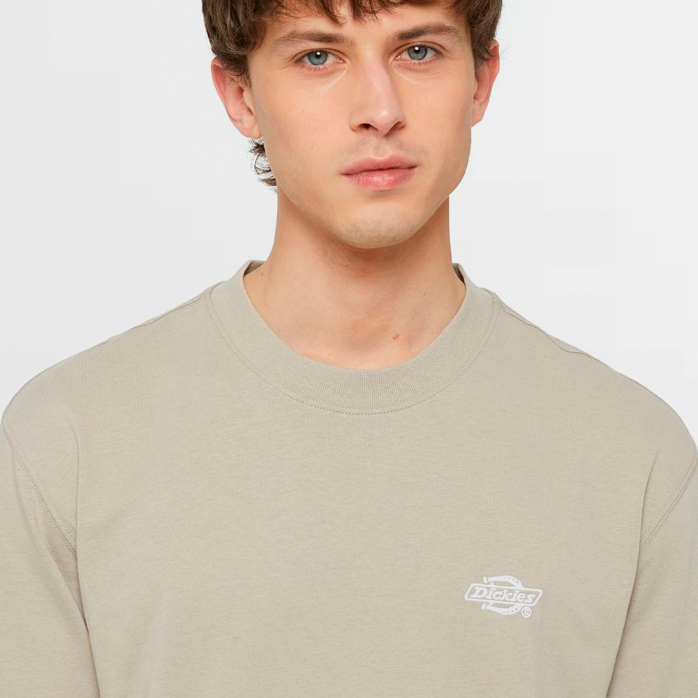 DICKIES CAMISETA SUMMERDALE SS TEE - DK0A4YAISS0
