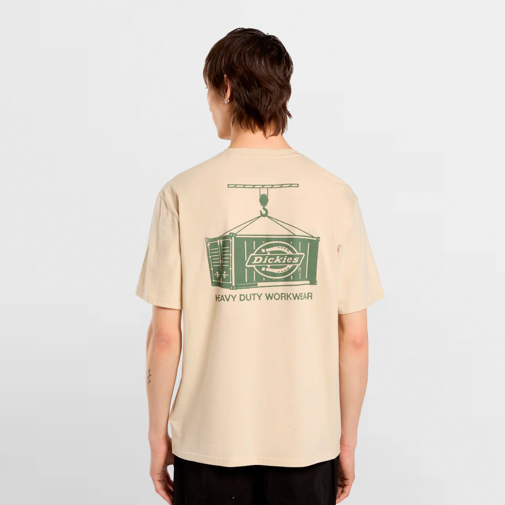 DICKIES CAMISETA APISON TEE SS - DK0A87QML17
