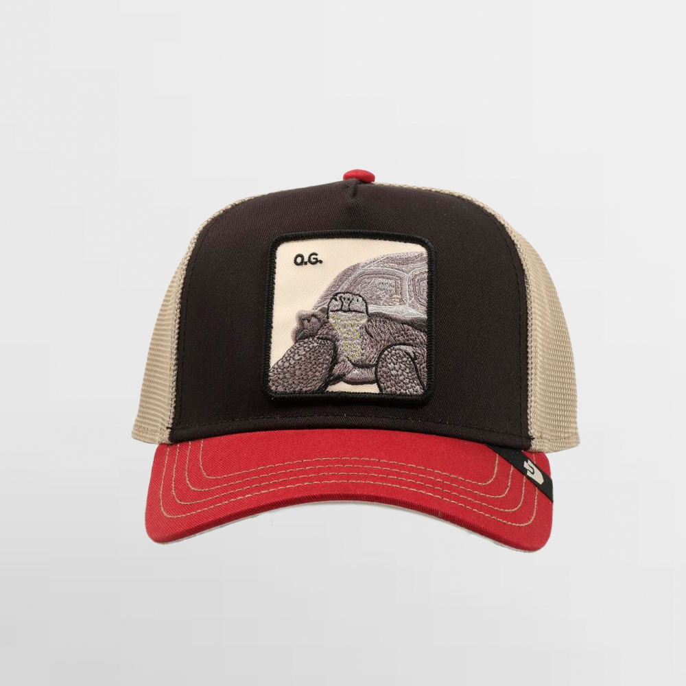 GOORIN GORRA TRICOLOR TORTIOUSE - 101-2337-MULTI