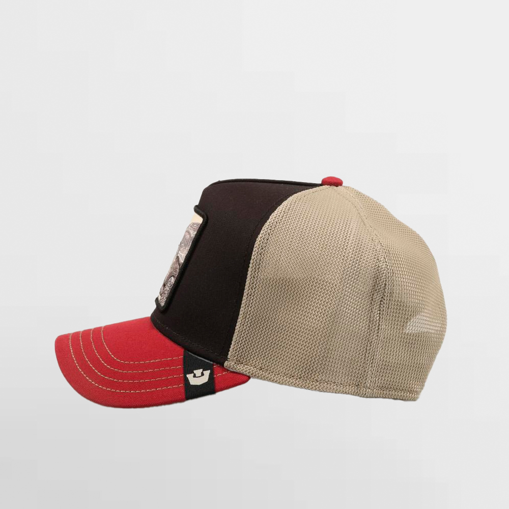 GOORIN GORRA TRICOLOR TORTIOUSE - 101-2337-MULTI