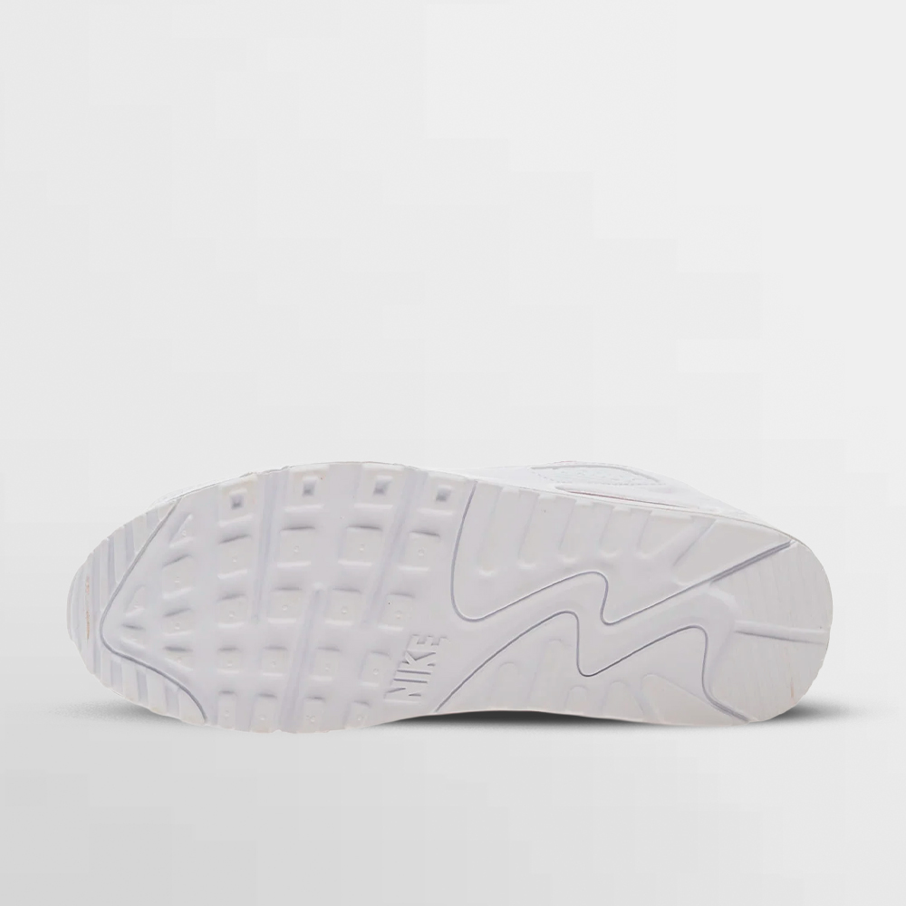 NIKE CALZADO AIR MAX 90 - DM0029 120