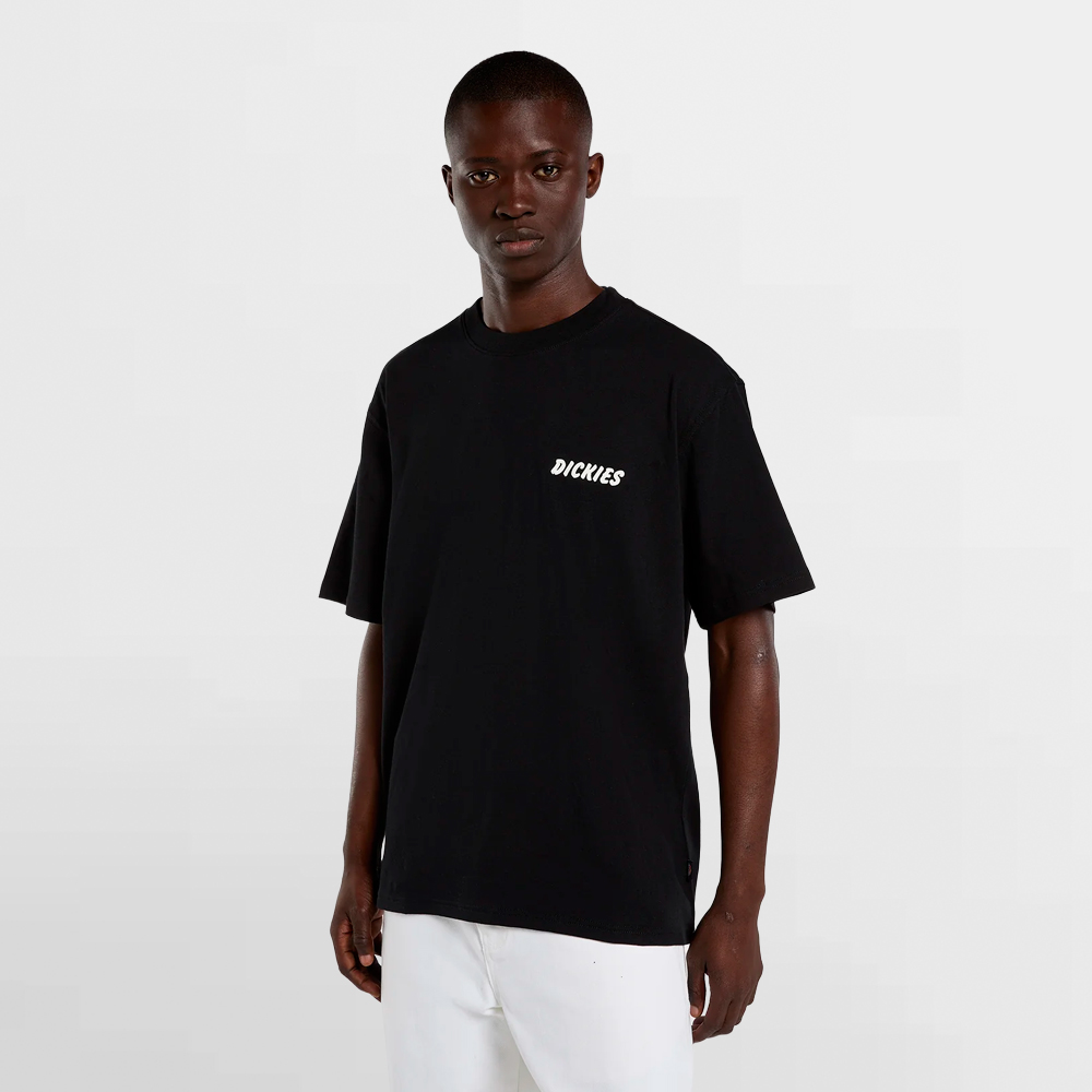 DICKIES CAMISETA DRY RIDGE SS TEE - DK0A8853BLK