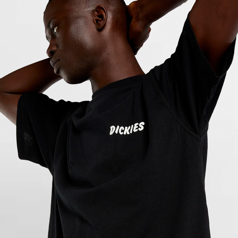 DICKIES CAMISETA DRY RIDGE SS TEE - DK0A8853BLK