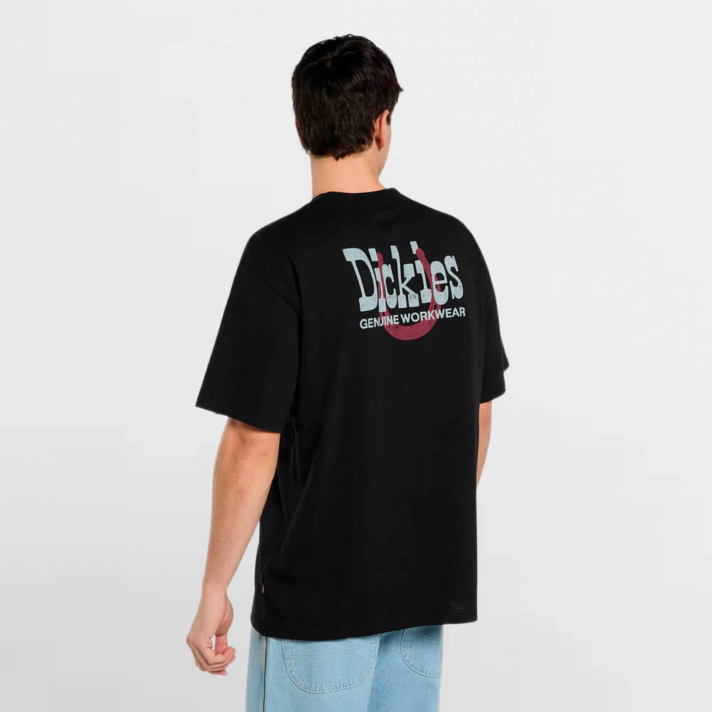 DICKIES CAMISETA VERNAL SS TEE - DK0A88JVBLK