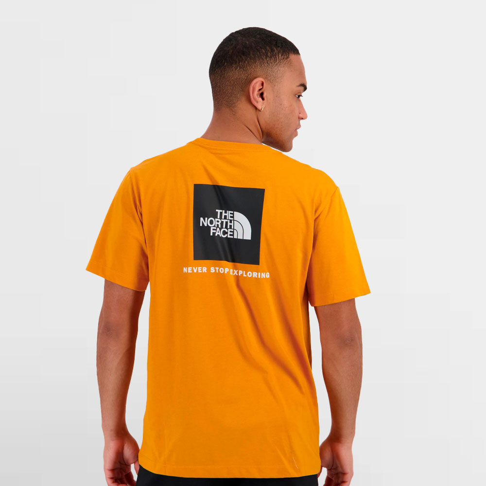 THE NORTH FACE CAMISETA EVOLUTION BOX NSE REGULAR - NF0A8B6KG5I