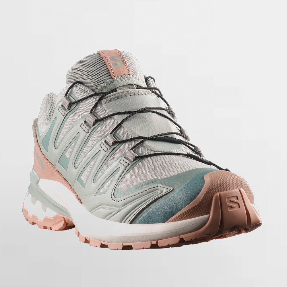 SALOMON CALZADO W. XA PRO 3D V9 GTX LIFELONG - L49297300